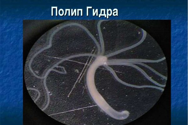 Кракен сайт магазин kraken clear com
