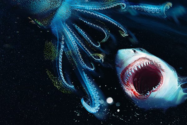 Кракен зеркало рабочее на сегодня krakenat2krnkrnk com