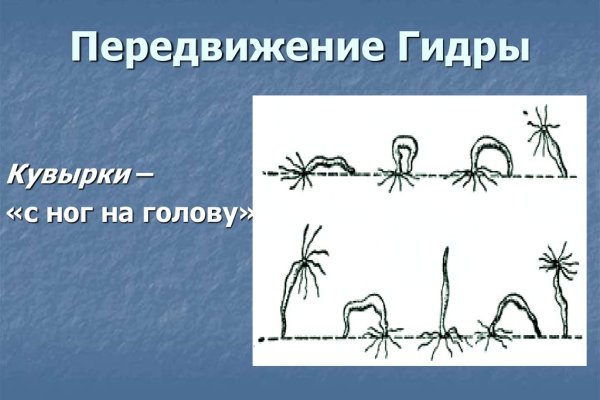 Актуальные ссылки на кракен тор