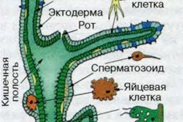 Кракен даркнет текст