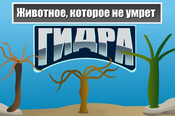 Кракен маркет даркнет скачать
