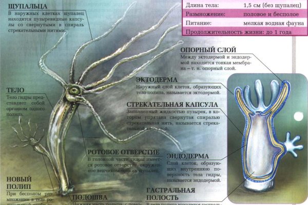 Что продают в кракен маркете