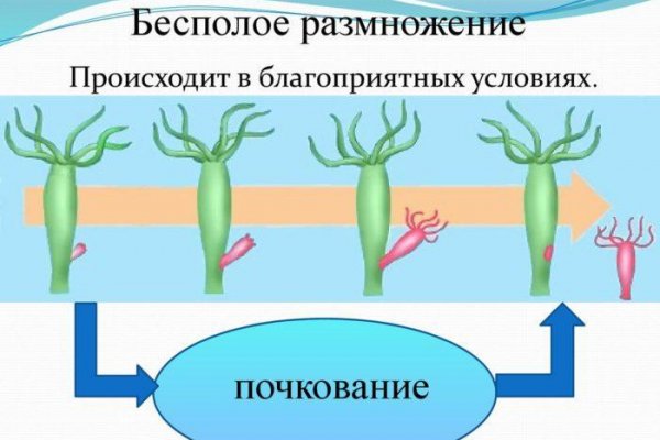 Кракен сайт ссылка онлайн
