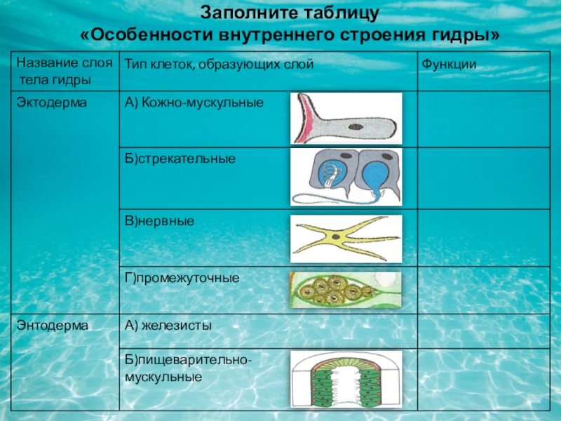 Ссылка кракен зеркало тор